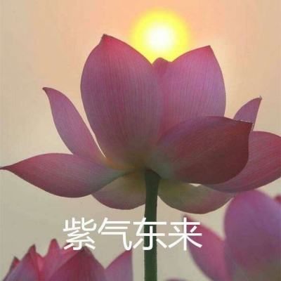 削瘦圆手机游戏(暂未上线)v1.0.0.3 安卓版